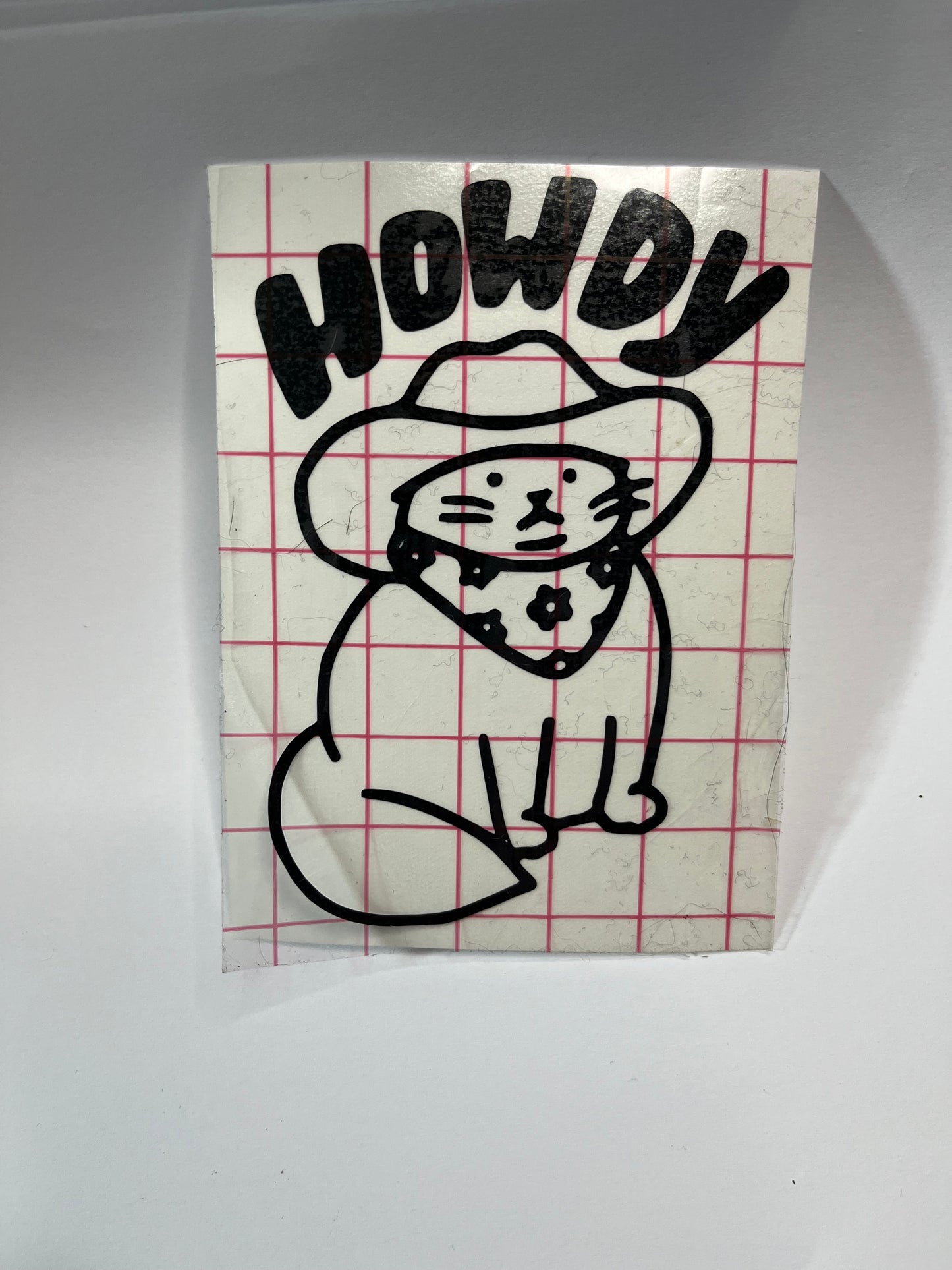 HOWDY MEOWDY