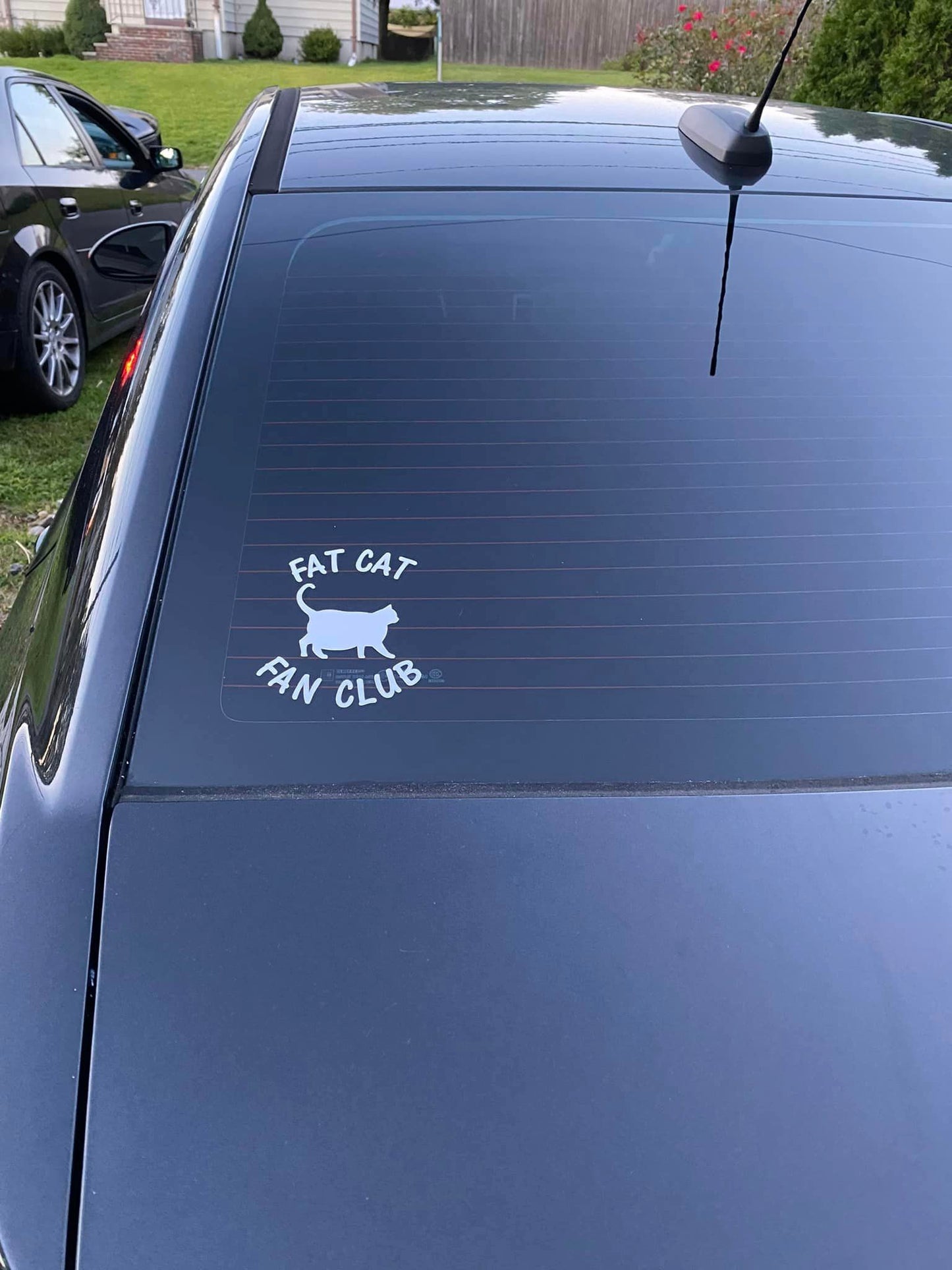 Fat Cat Fan Club car decal