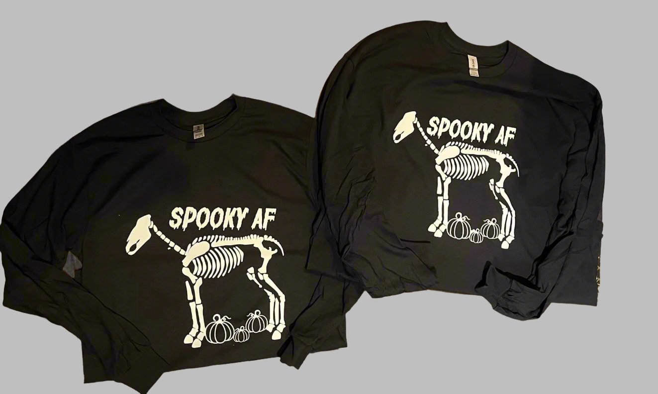 Halloween Horse Long sleeve