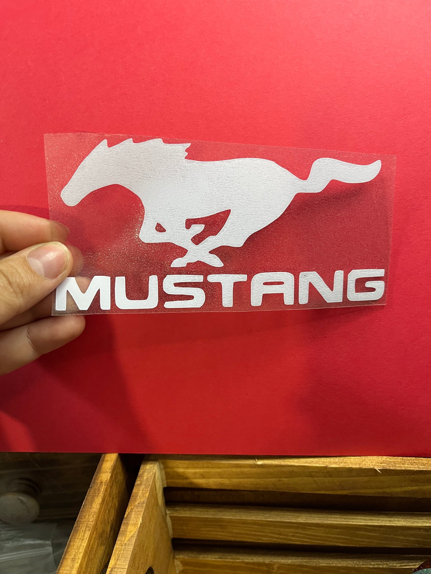 MUSTANG HORSE